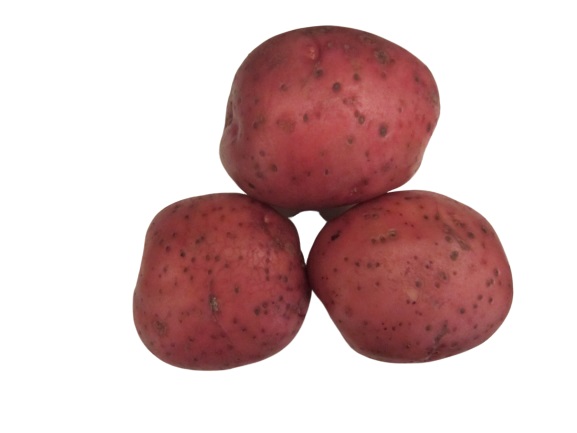 Sēklas kartupeļi MARET 10kg