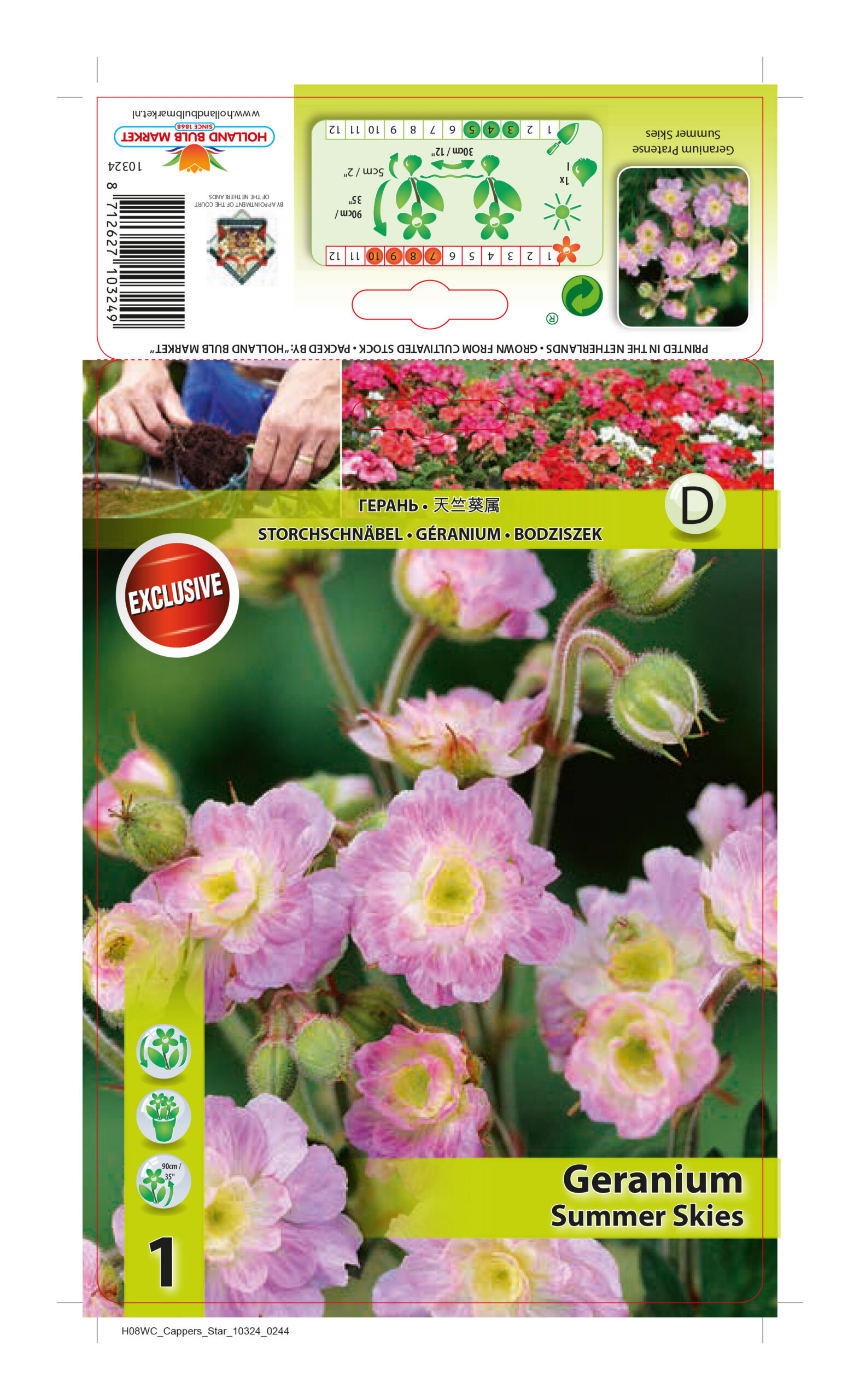 Pļavas gandrene Summer Skies 1 gab