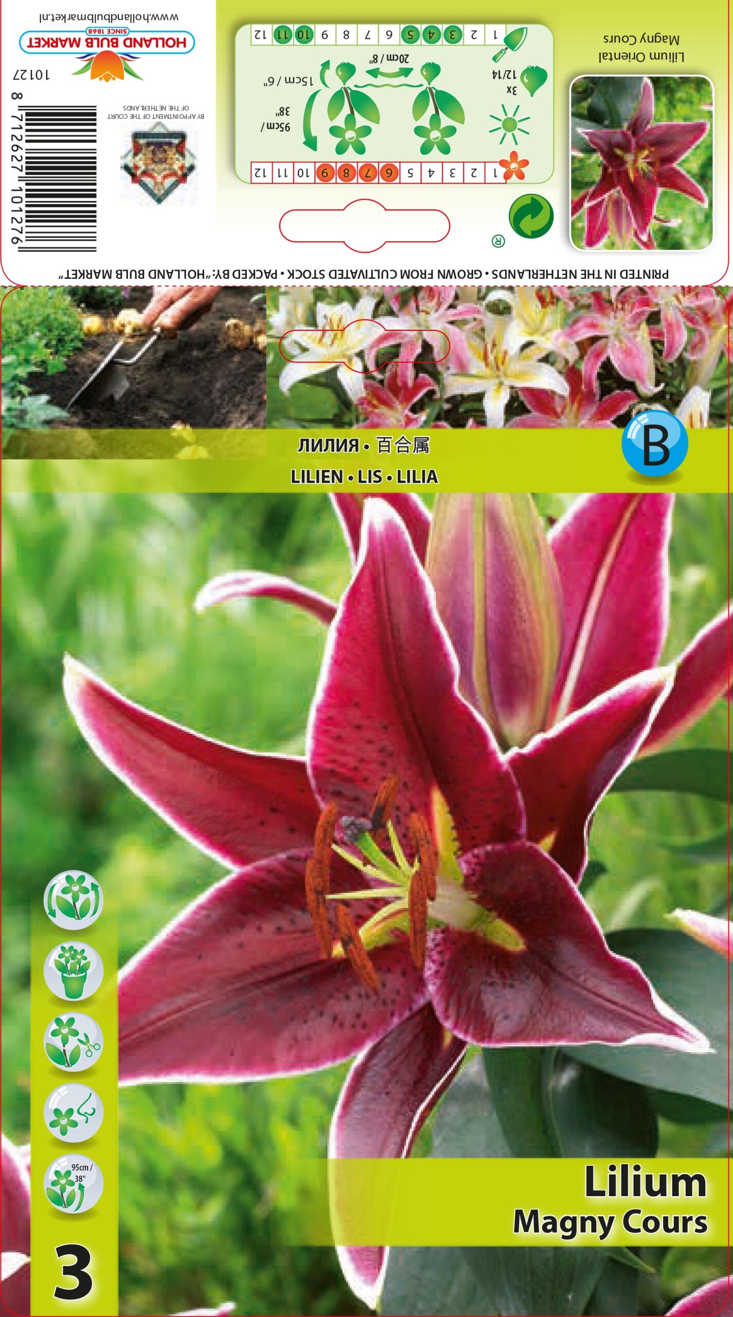 Lilija Magny Cours 3gab