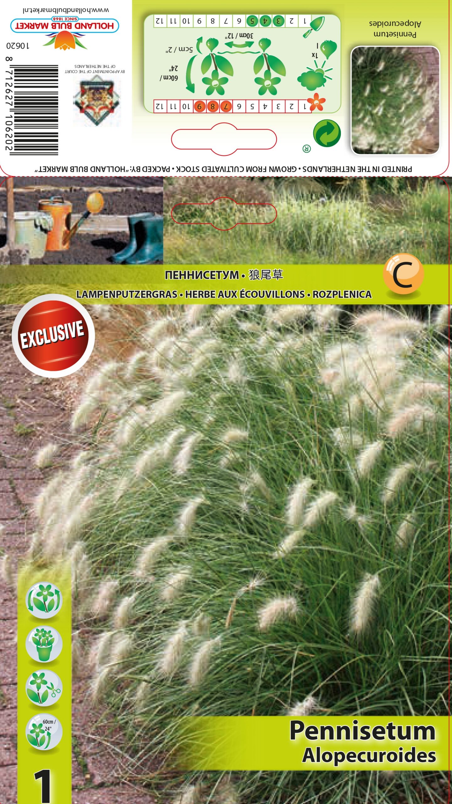 Lapsastu spalvzāle 1 gab