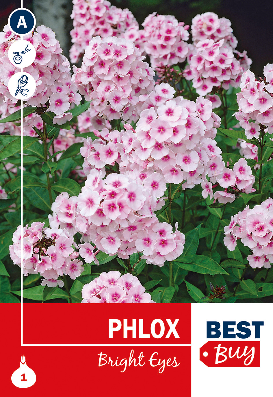 Floksis Bright Eyes 1 gab