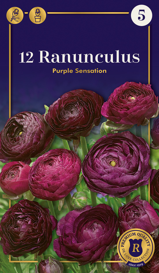 Gundegas Purple Sensation 12 gab