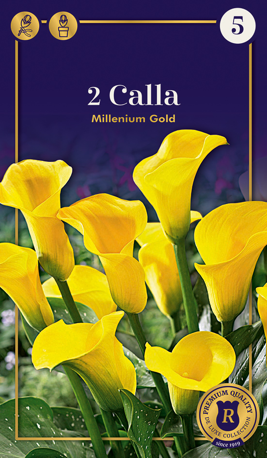 Kalla Millenium Gold 2 gab