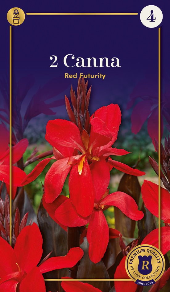 Kanna Red Futurity 2 gab