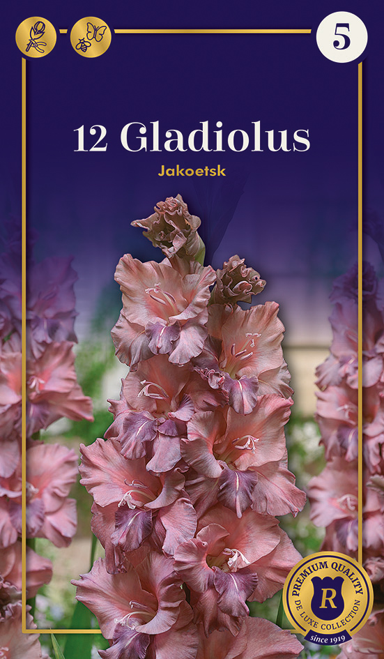 Gladiola Jakoetsk 12 gab