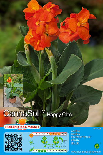 Kanna Cannasol Happy Cleo 1 gab