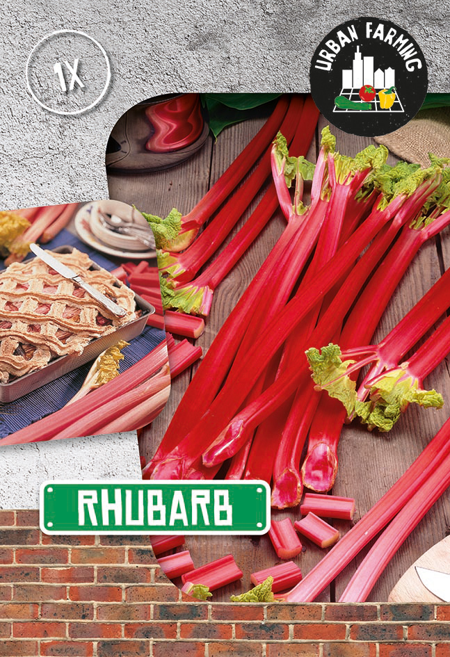 Rabarberi 1 gab