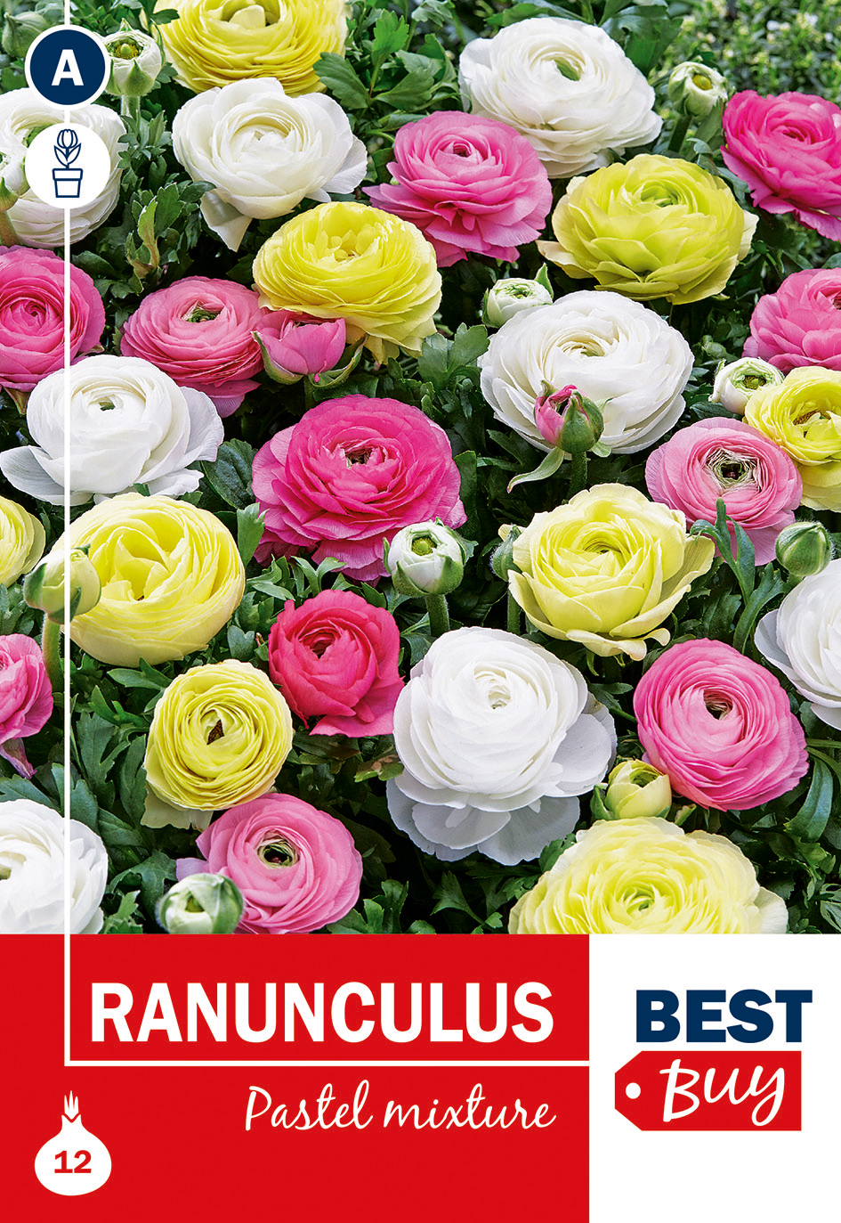 Gundegas Pastelne mix 12 gab.