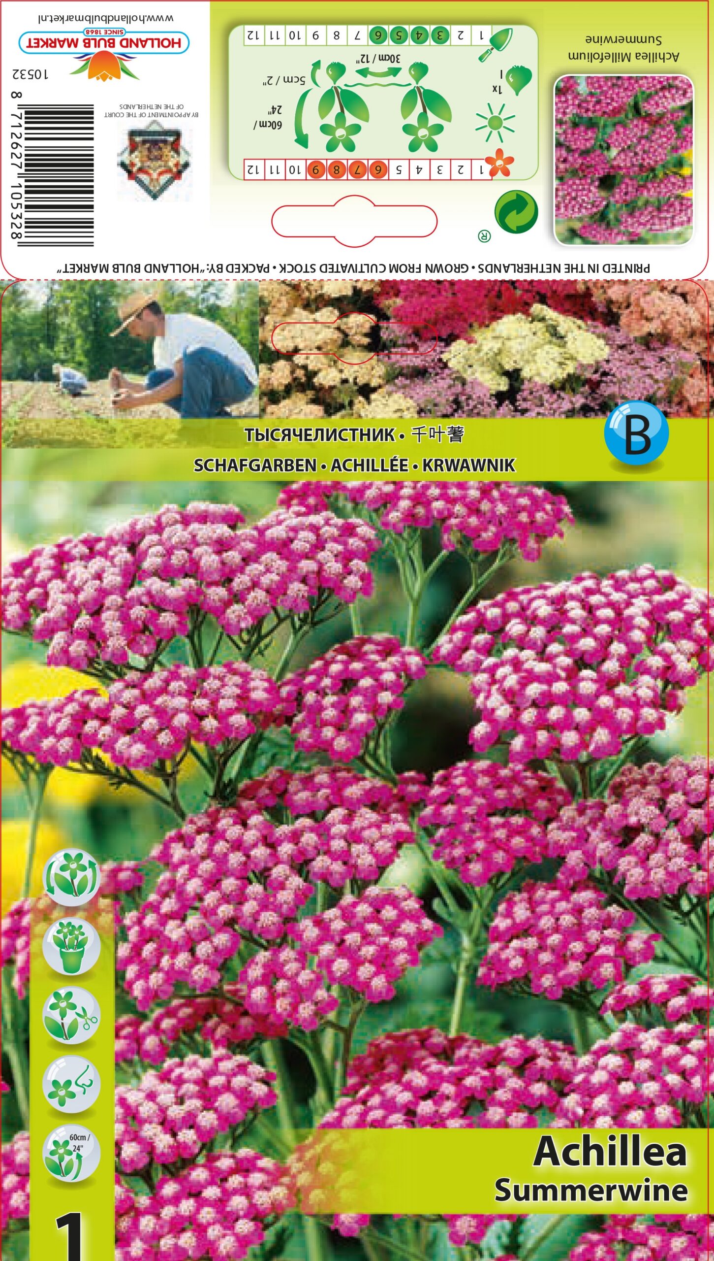 Pelašķis Summerwine 1 gab