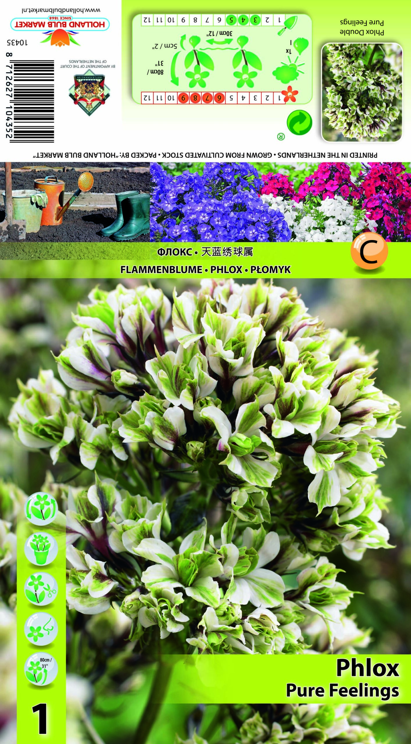 Floksis Pure Feelings 1gab