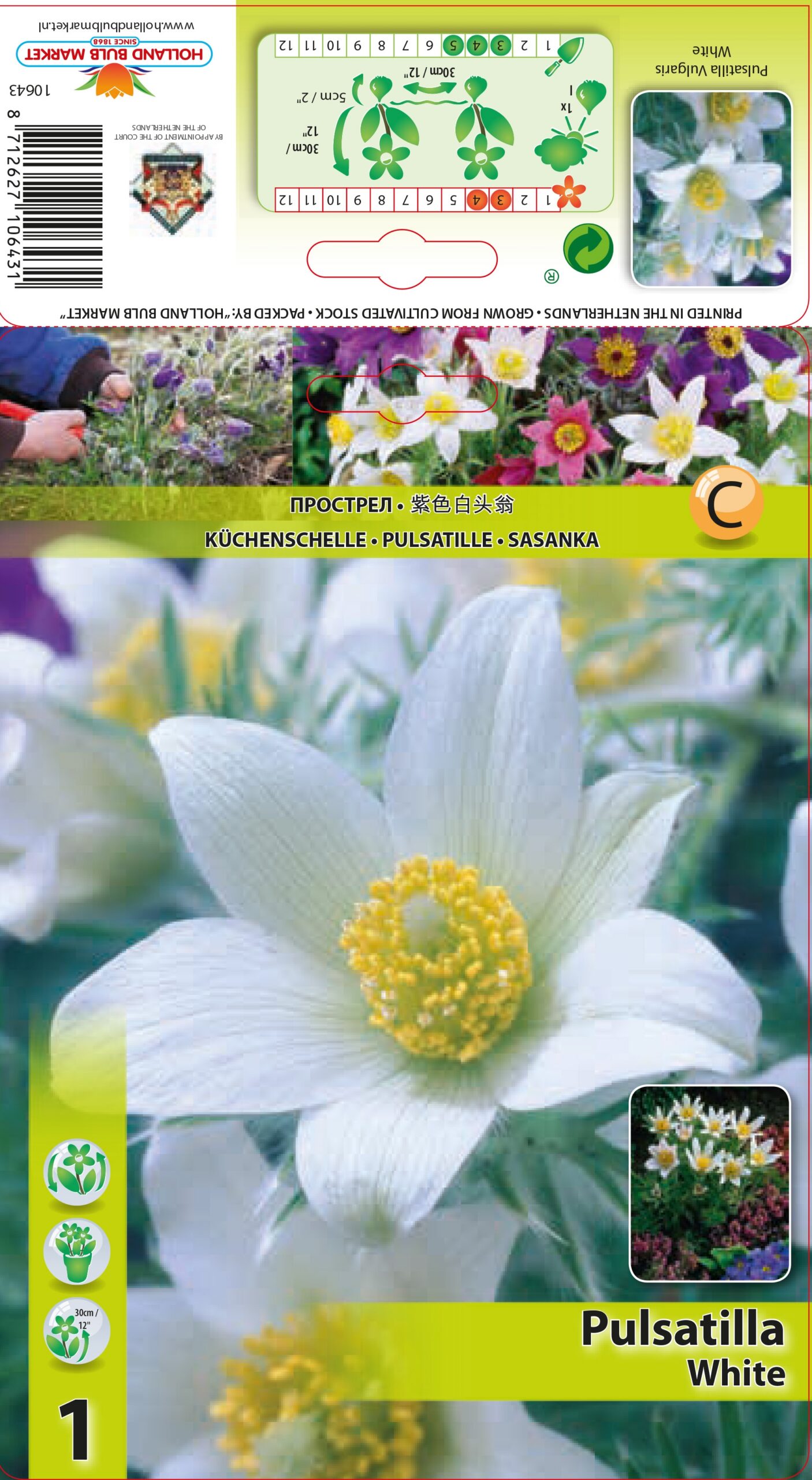 Silpurene White 1 gab