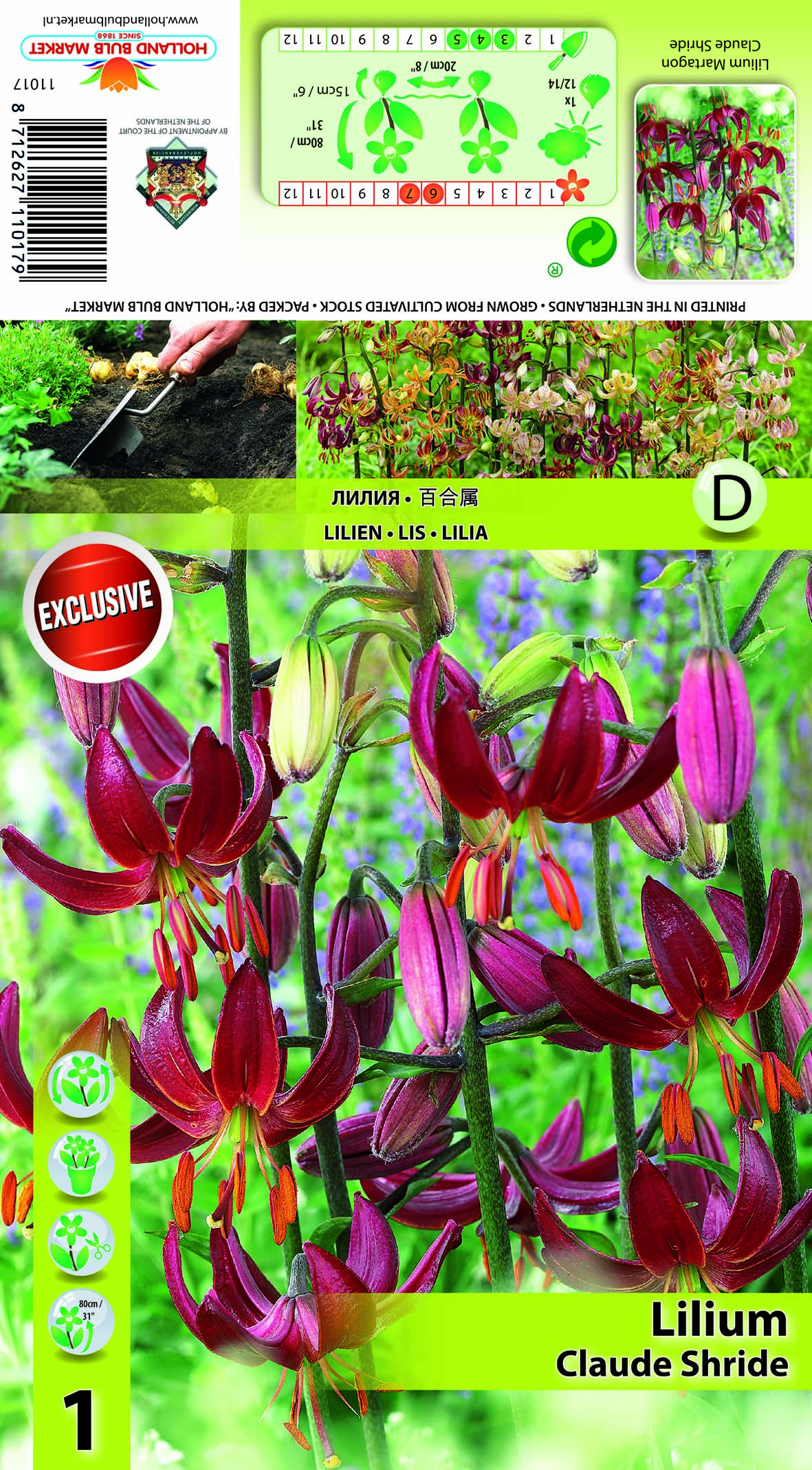 Martagonlilija Claude Shride 1gab