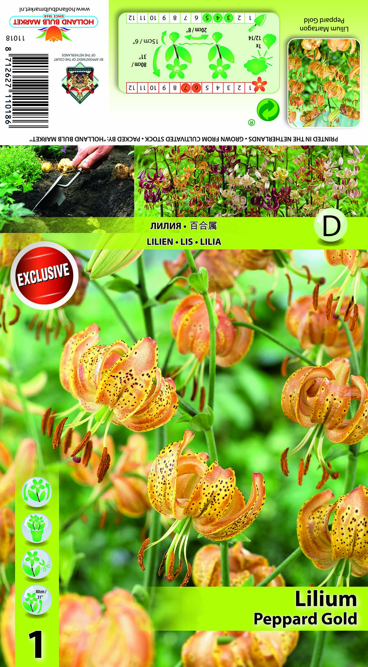 Martagonlilija Peppard Gold 1gab