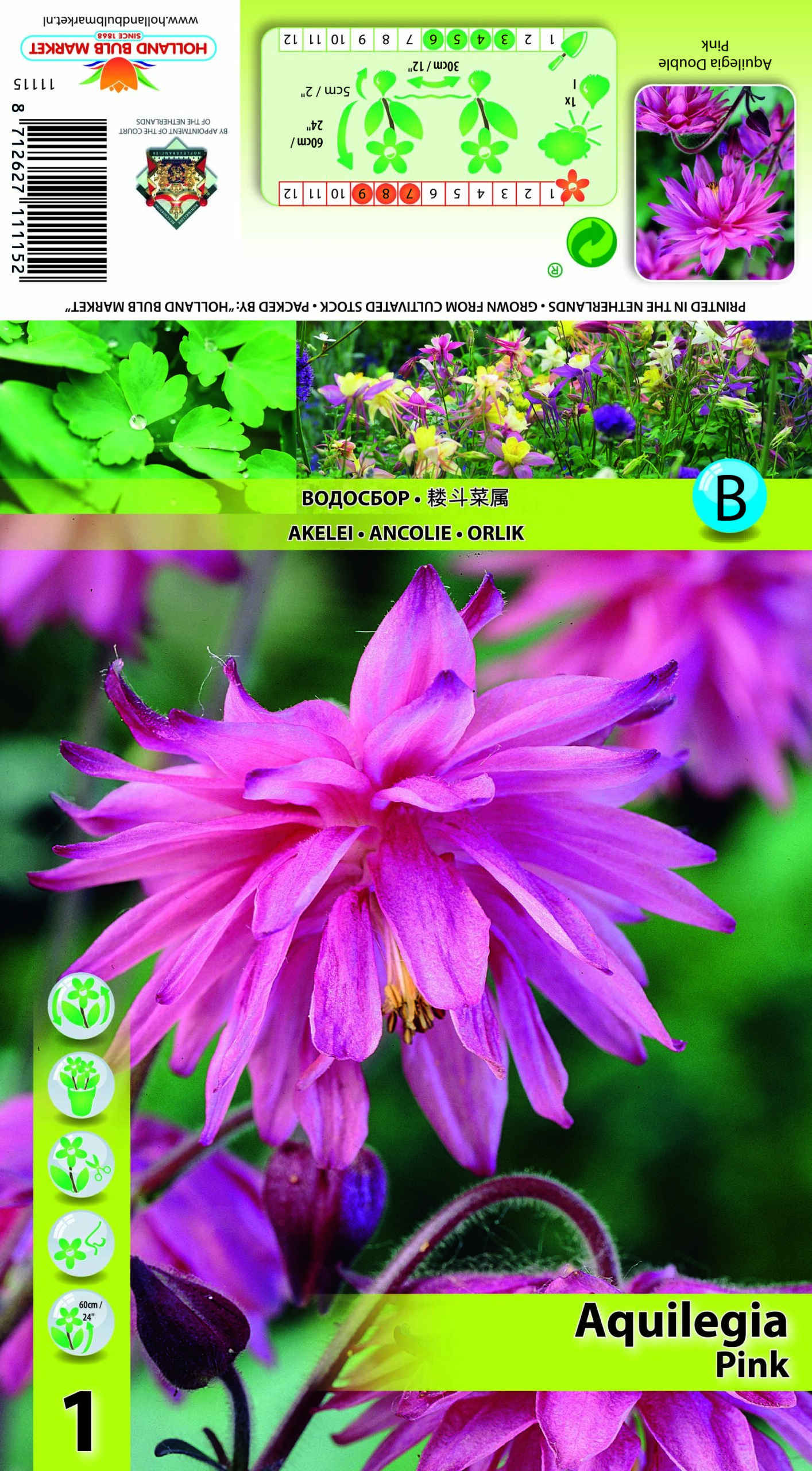 Ozolīte Double Pink 1 gab