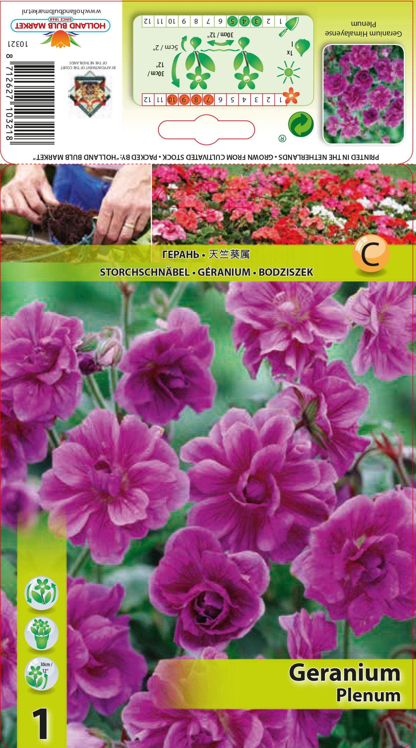 Lielziedu Gandrene Plenum 1 gab