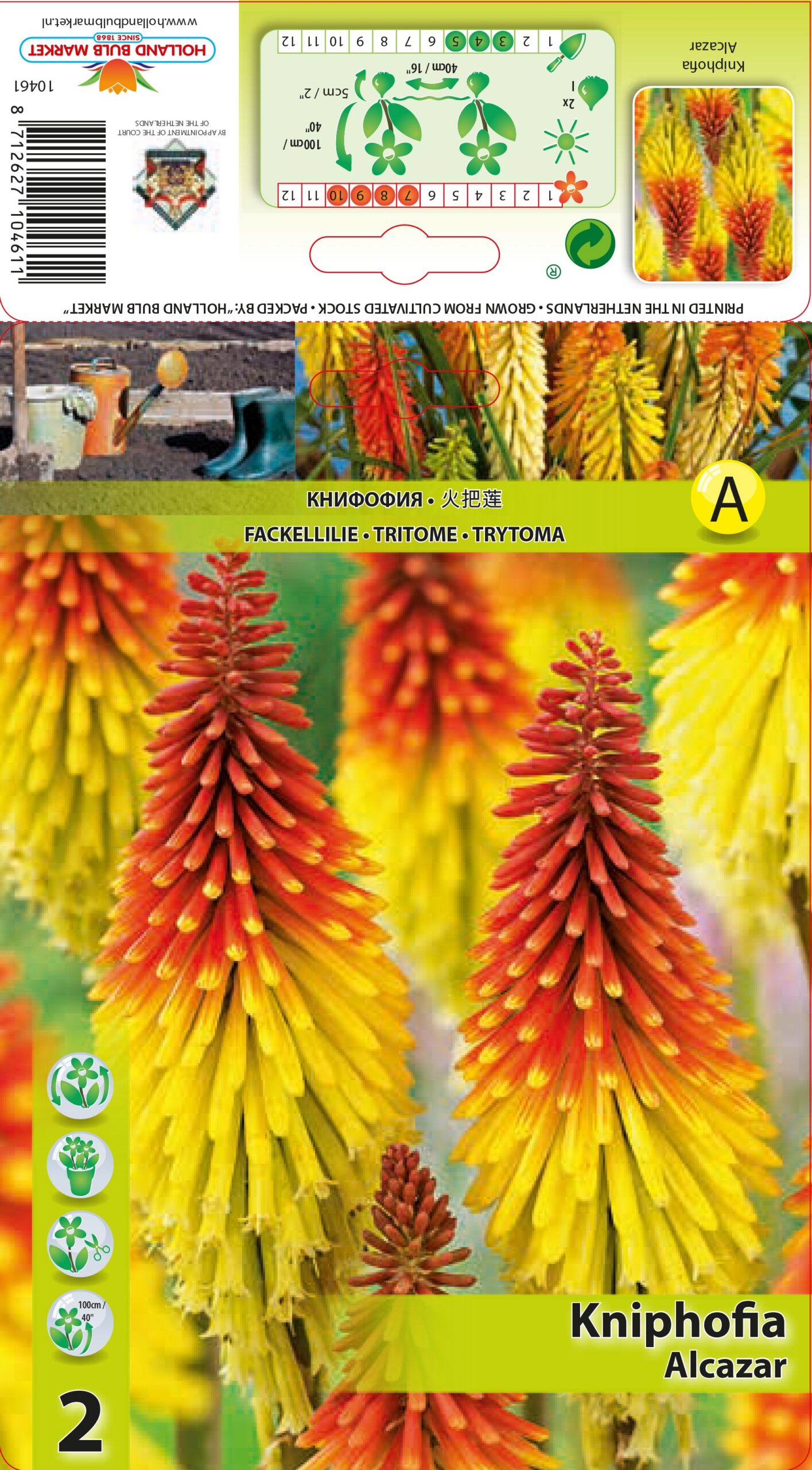 Knifofijas Alcazar 2 gab