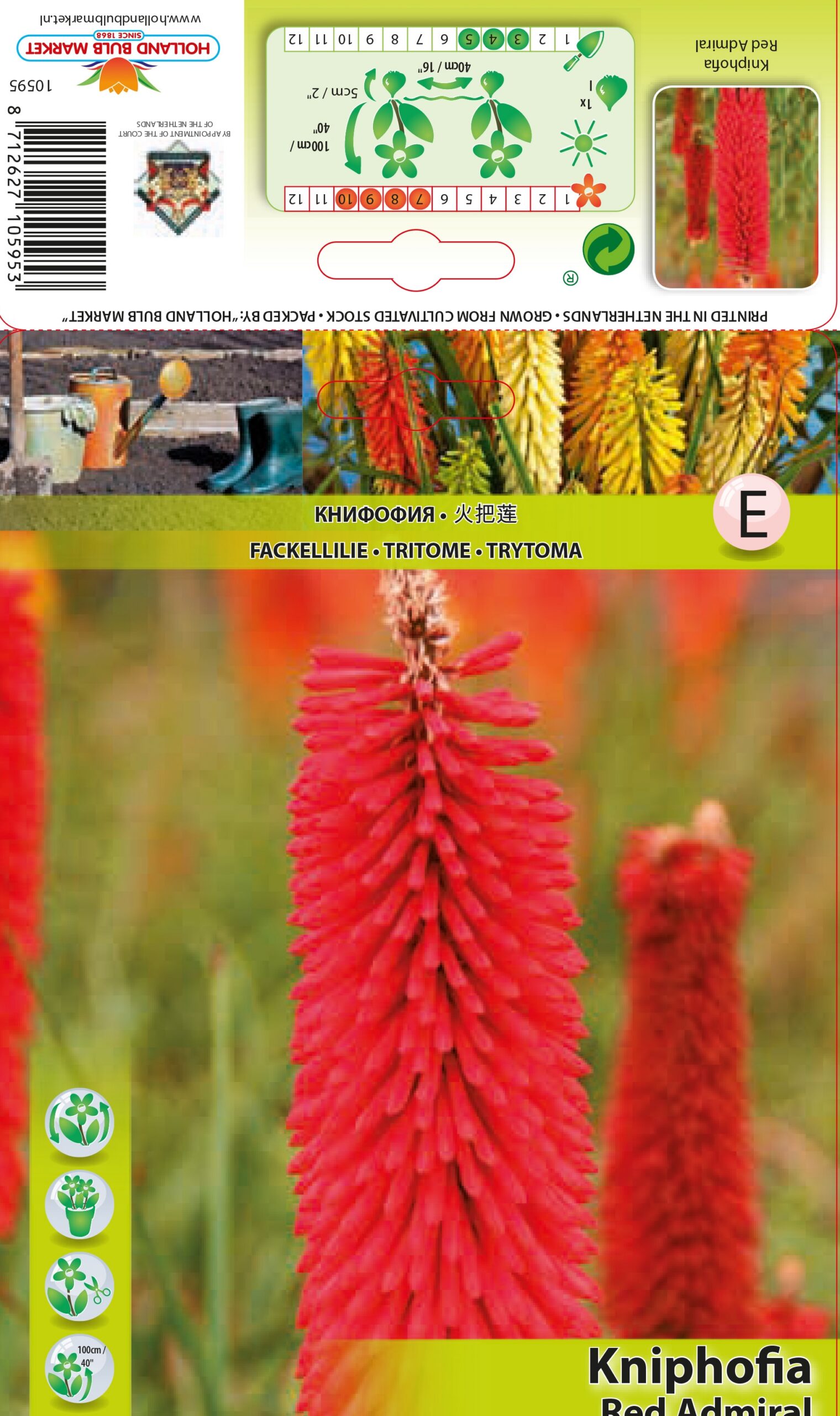 Knifofijas Red Admiral 1 gab