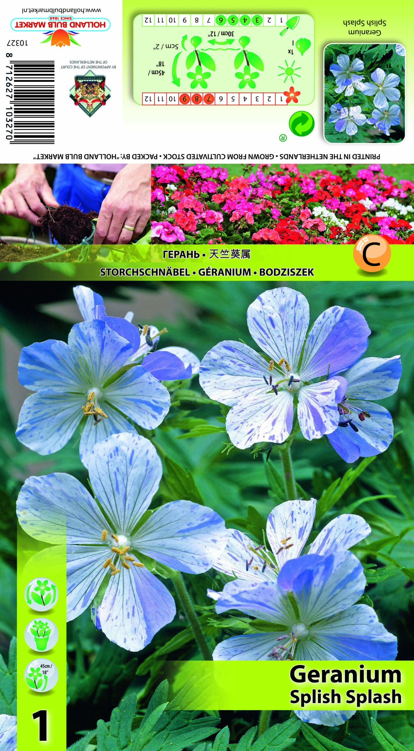 Pļavas gandrene Splish Splash 1 gab