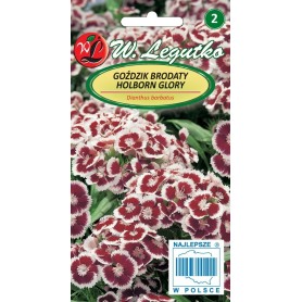 Studentu neļķes Holborn Glory 0,5g