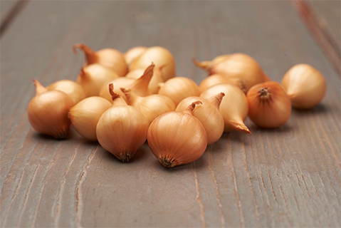 Sīpols Setton 14-21 mm 1 kg