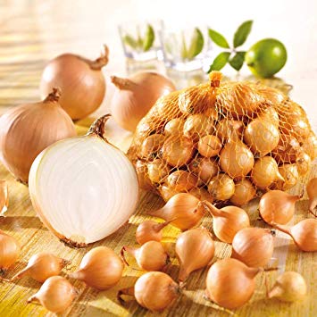 Sīpols Stuttgarter riesen 21-24 mm 1 kg