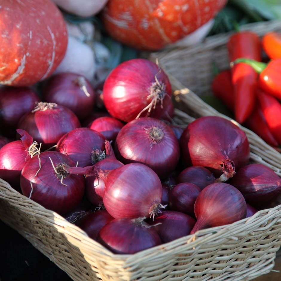 Virssīpols Red Baron 21-24 mm 1 kg