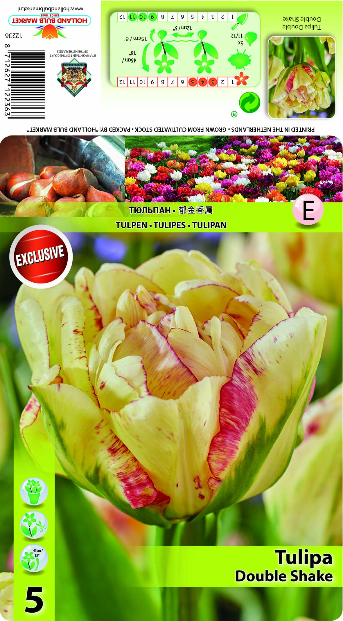 Tulpe Double Shake 5 gab.