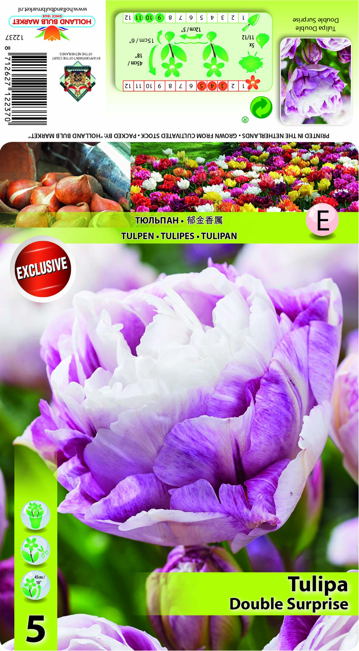 Tulpe Double Surprise 5 gab.