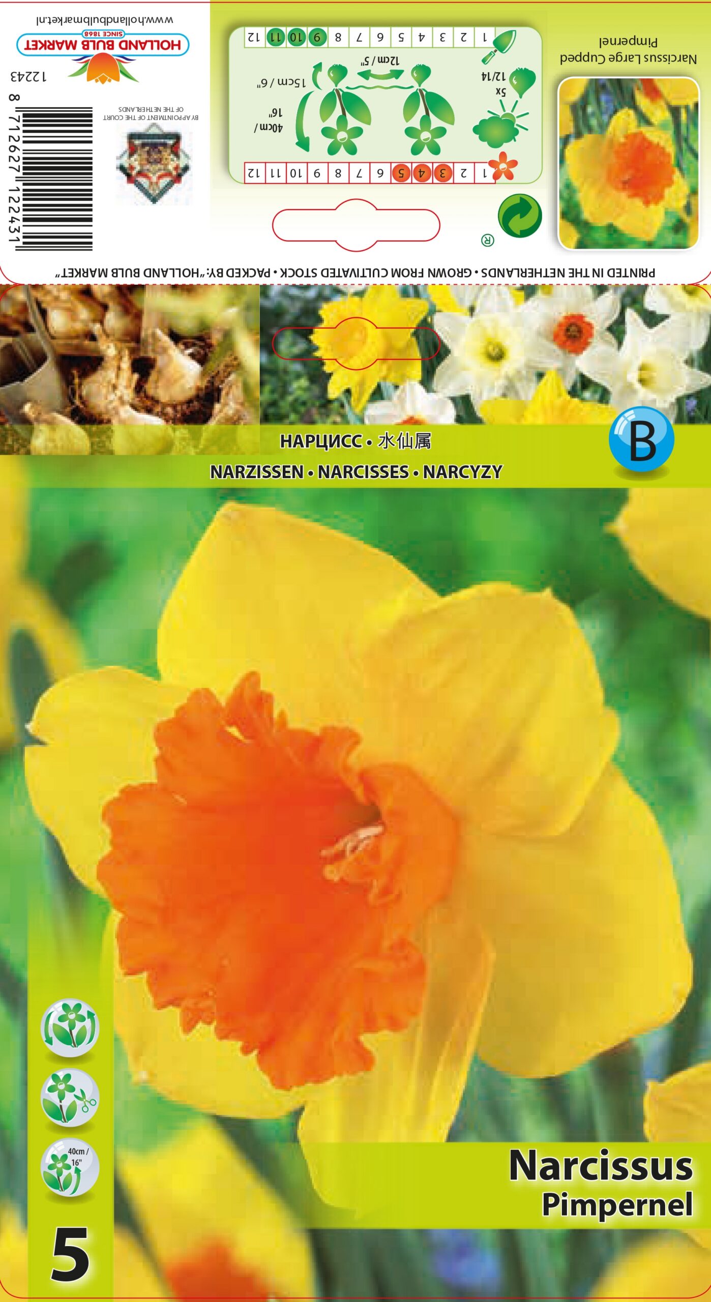 Narcise Pimpernel 5 gab.