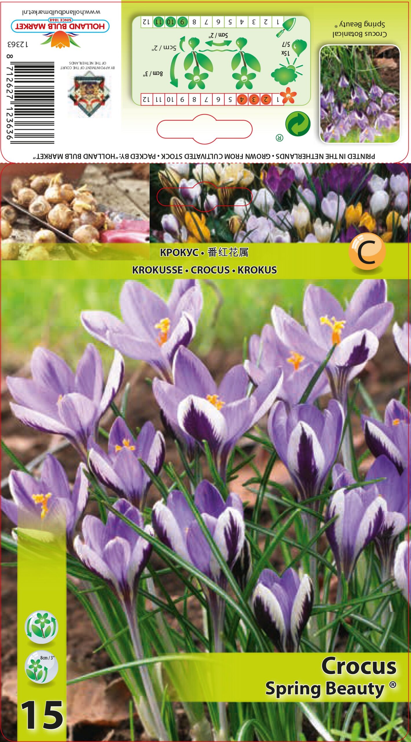 Krokuss Spring Beauty 15 gab.