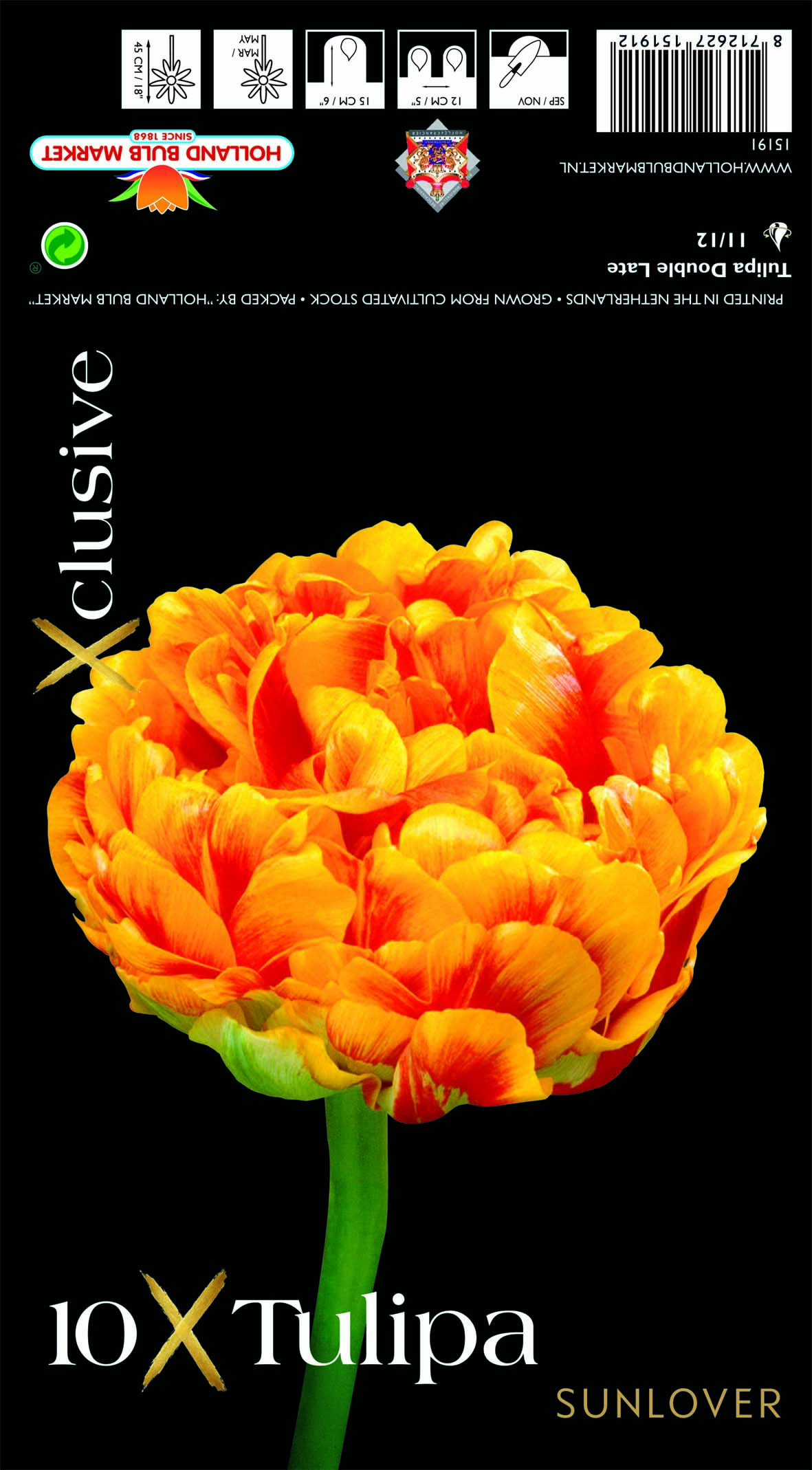 Tulpe Sunlover 10 gab.