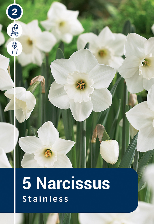 Narcise Stainless 5 gab.