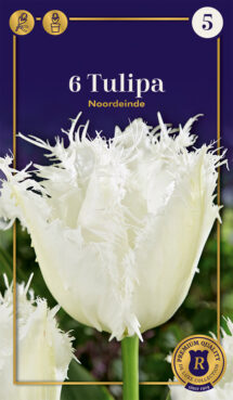 Tulpe Noordeinde 6 gab.