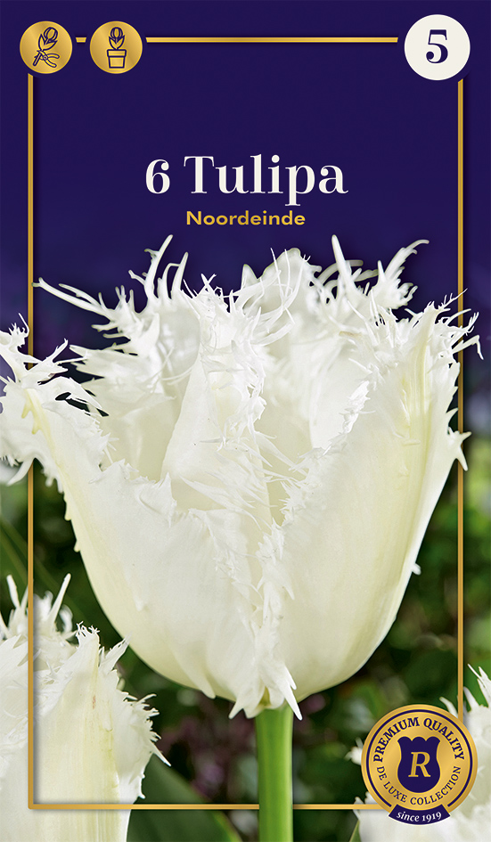 Tulpe Noordeinde 6 gab.
