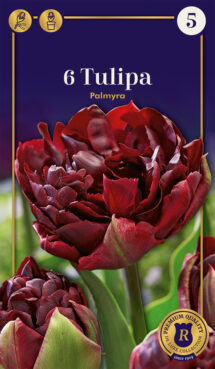 Tulpe Palmyra 6 gab.