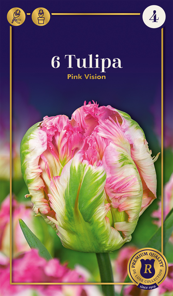 Tulpe Pink Vision 6 gab.