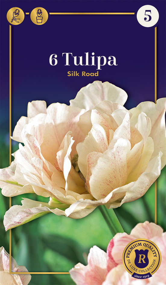 Tulpe Silk Road 6 gab.