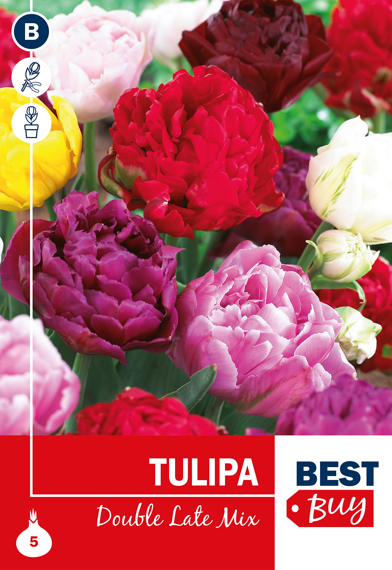 Pildīto tulpju maisījums 5 gab.