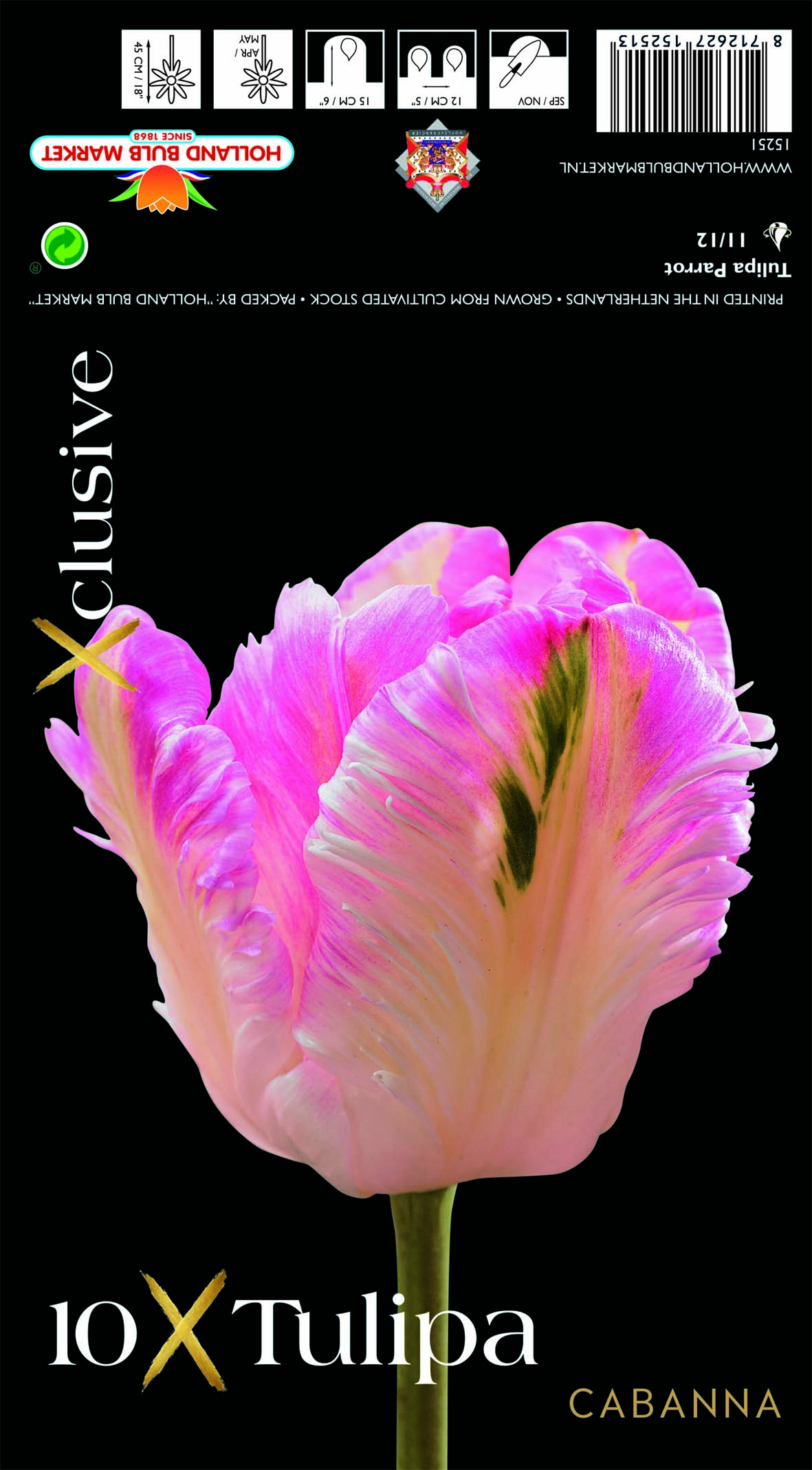 Tulpe Cabanna 10 gab.